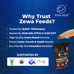 Zewa Feeds Monster Sticks A10 — product photo 4
