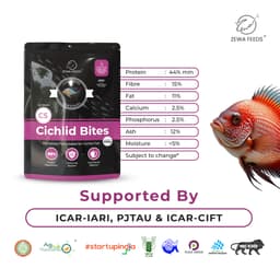 Zewa Feeds Cichlid Bites C5 — product photo 6