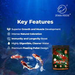 Zewa Feeds Koi Bites K7 — product photo 4