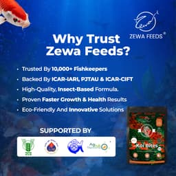 Zewa Feeds Koi Bites K7 — product photo 7