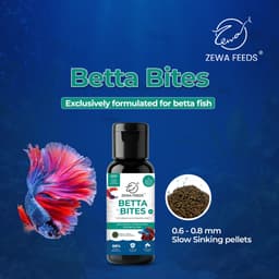 Zewa Feeds Betta Bites F3 — product photo 1