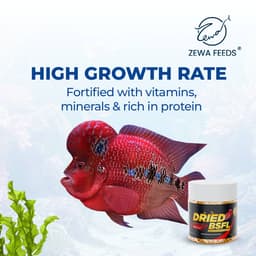 Zewa Feeds Dried BSF Larvae — product photo 5