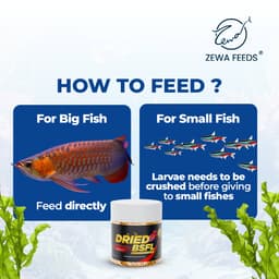 Zewa Feeds Dried BSF Larvae — product photo 7