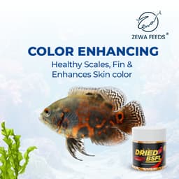 Zewa Feeds Dried BSF Larvae — product photo 9