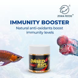 Zewa Feeds Dried BSF Larvae — product photo 10