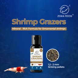 Zewa Feeds Shrimp Grazers S5 — 20G pack