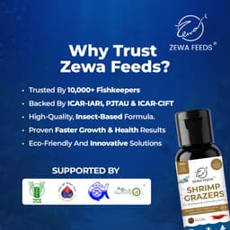 Zewa Feeds Shrimp Grazers S5 — 20G pack (4)