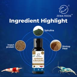 Zewa Feeds Shrimp Grazers S5 — 20G pack (5)