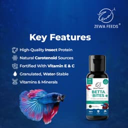 Zewa Feeds Betta Bites F3 — product photo 4