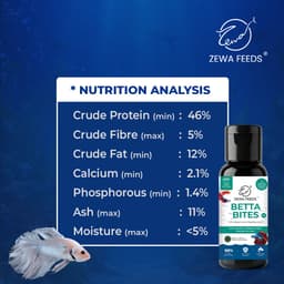 Zewa Feeds Betta Bites F3 — product photo 6
