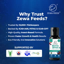 Zewa Feeds Betta Bites F3 — product photo 7