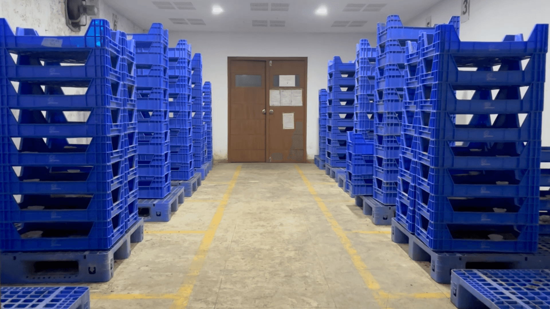 India's first data-centric insect farm, 2022