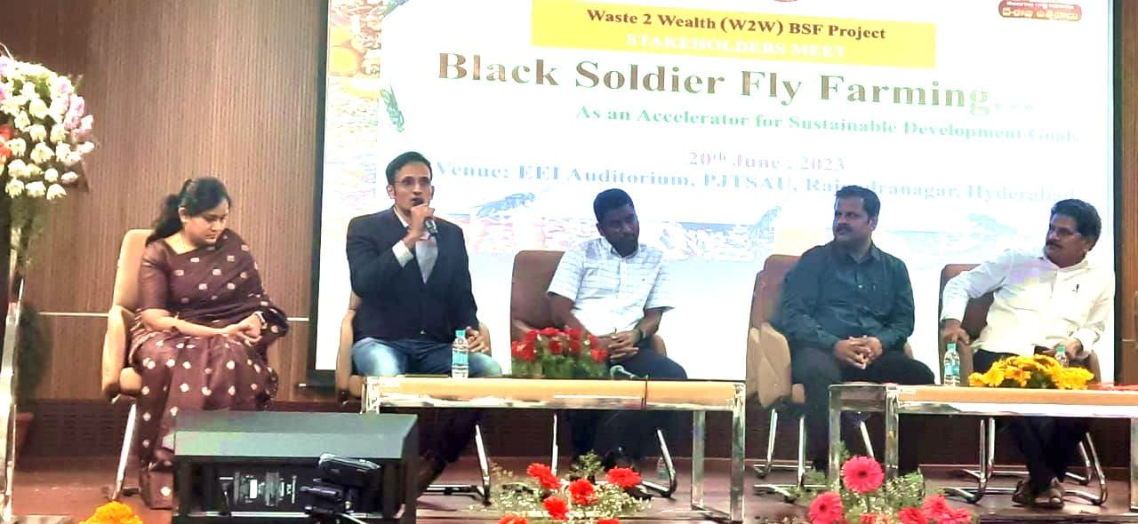 Panel discussion on Black Soldier Fly farming