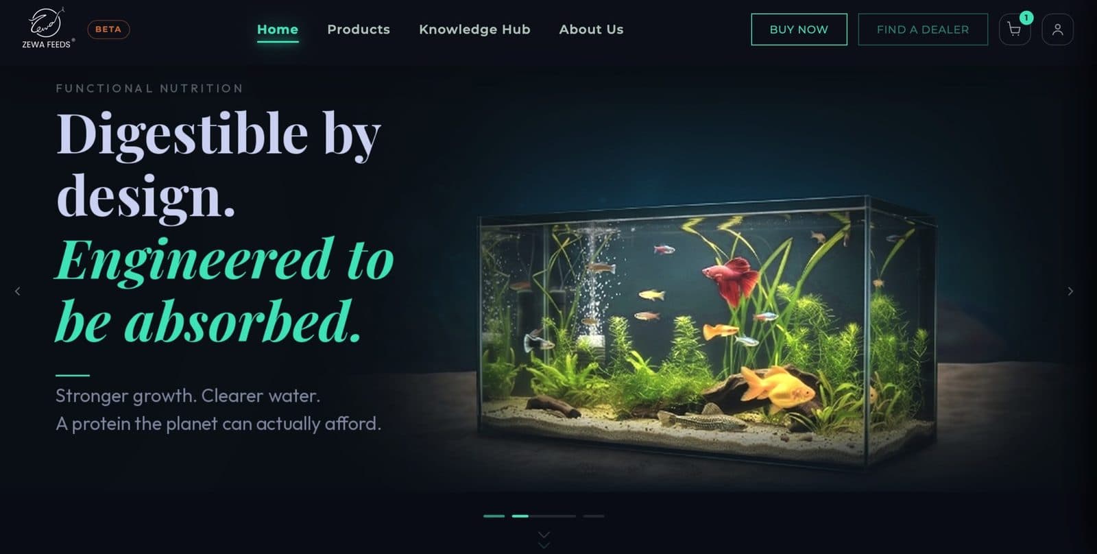 The new zewafeeds.com homepage