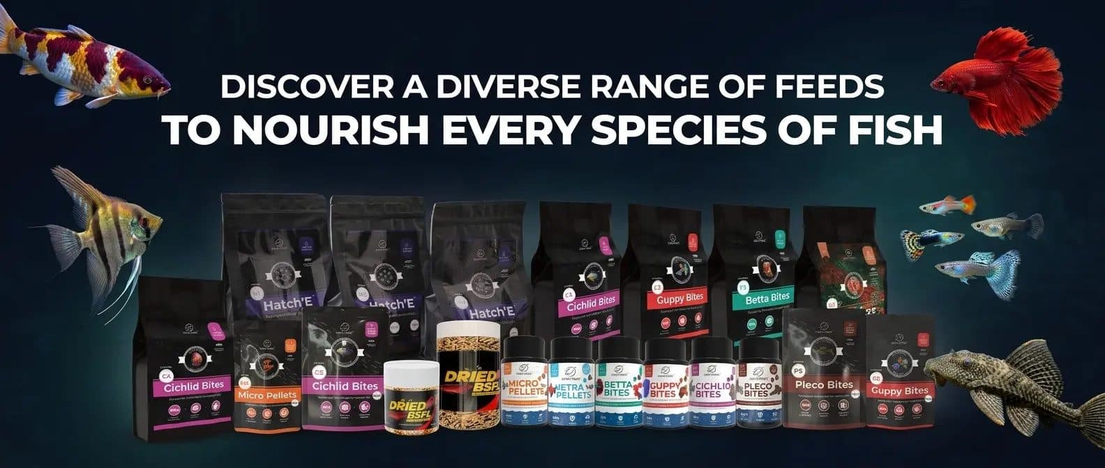 Zewa Feeds range banner: Discover a diverse range of feeds to nourish every species of fish
