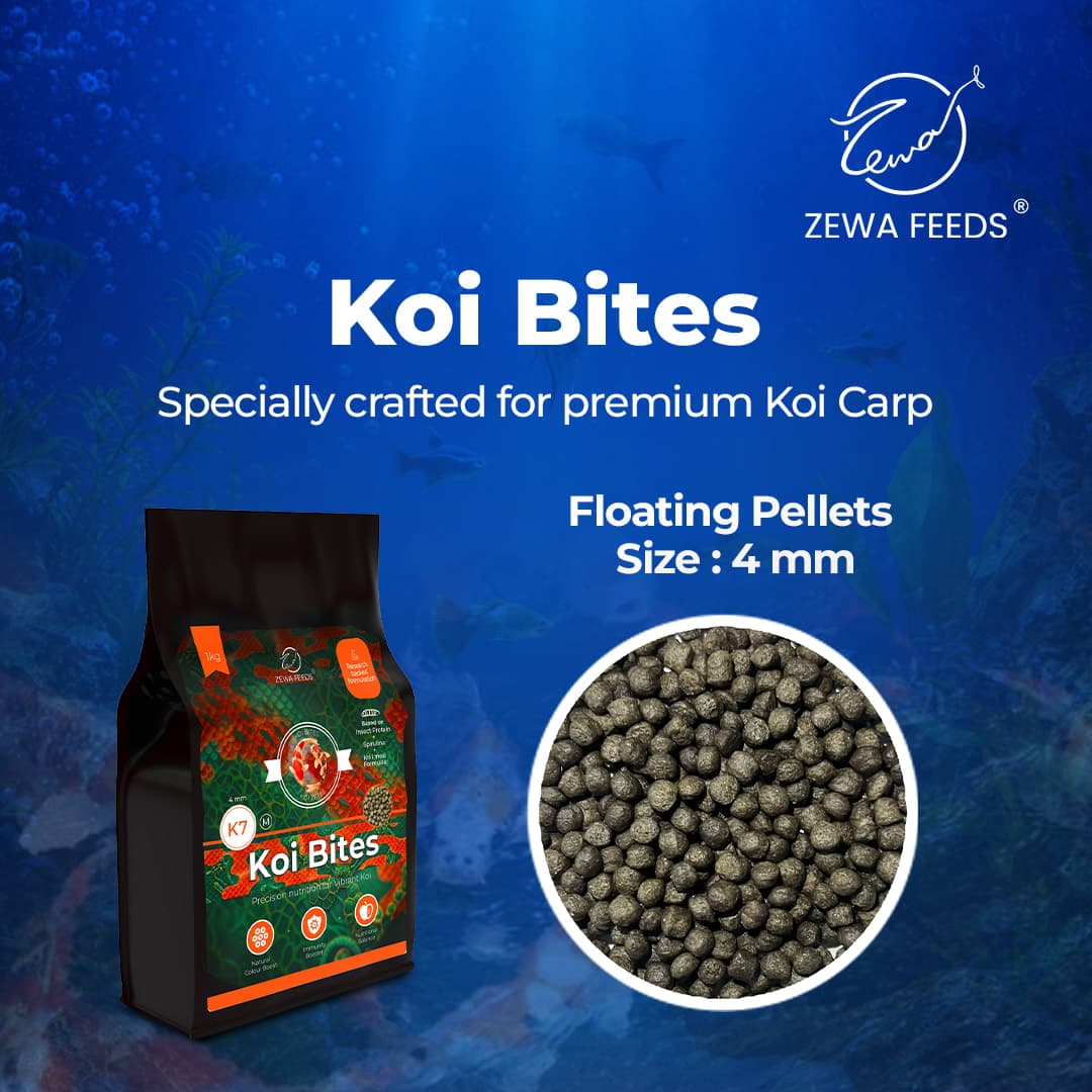 Zewa Feeds Koi Bites K7 3