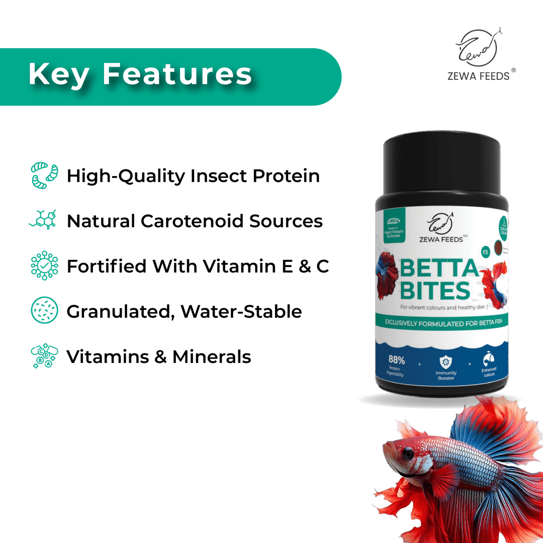 Zewa Feeds Betta Bites F3 2