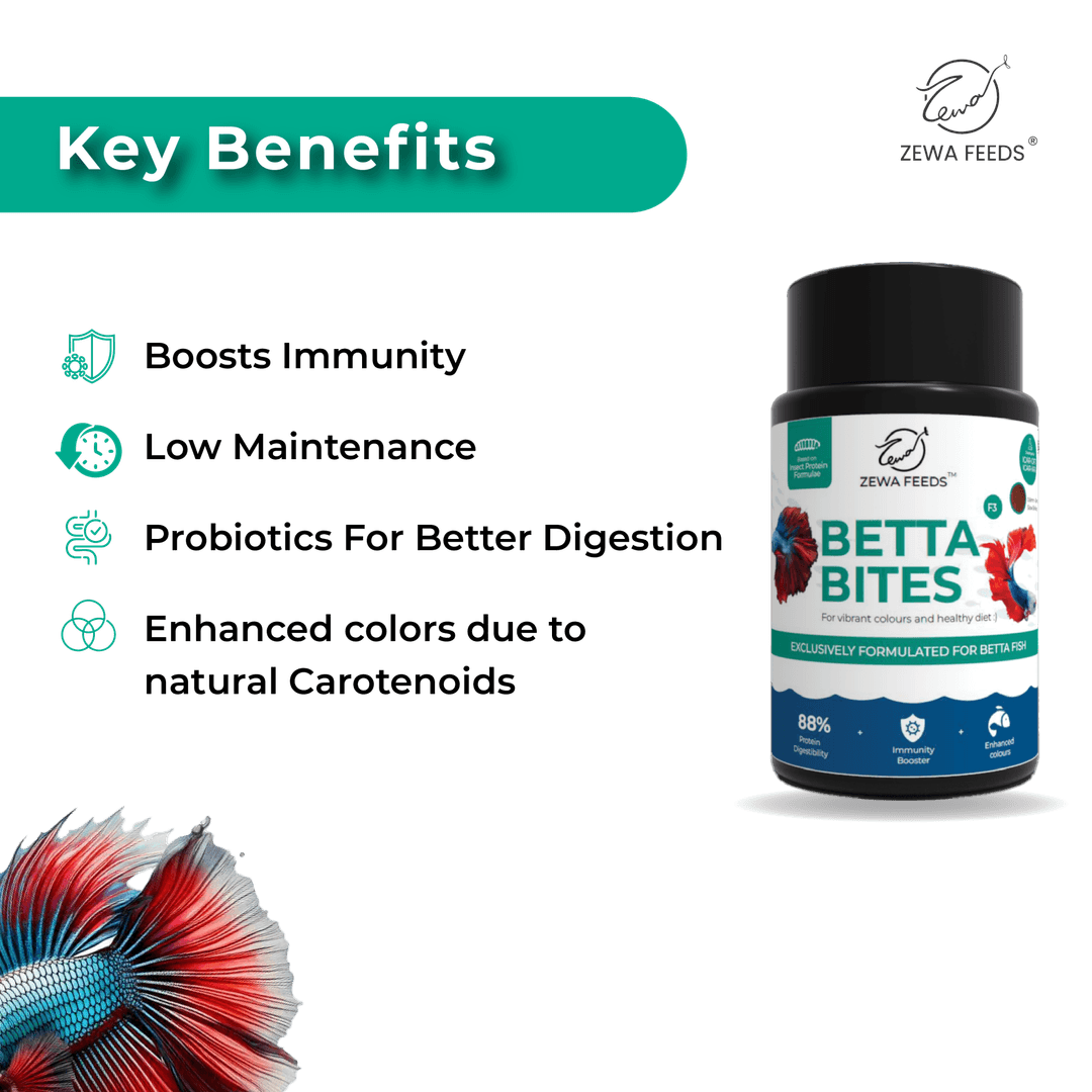 Zewa Feeds Betta Bites F3 3