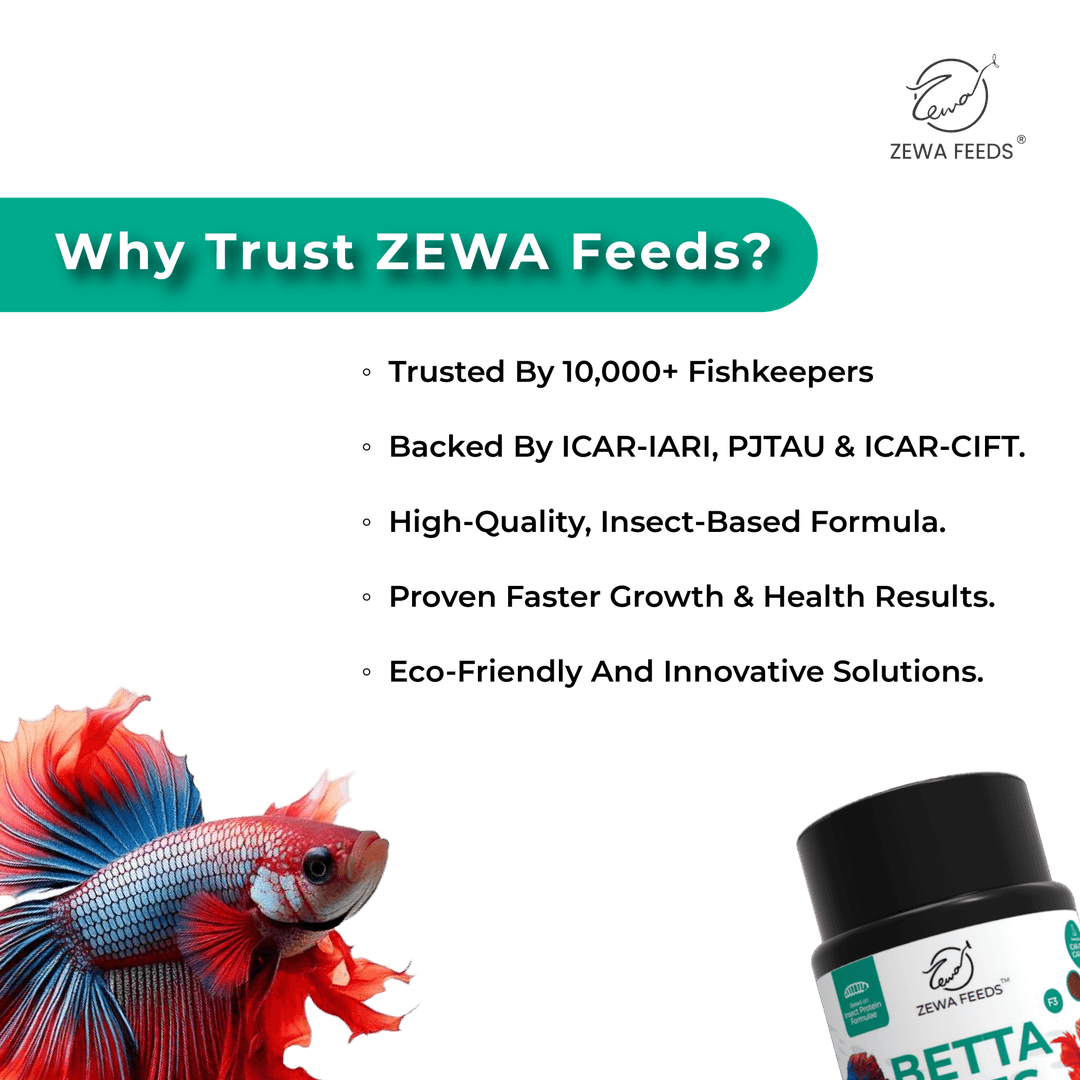 Zewa Feeds Betta Bites F3 4