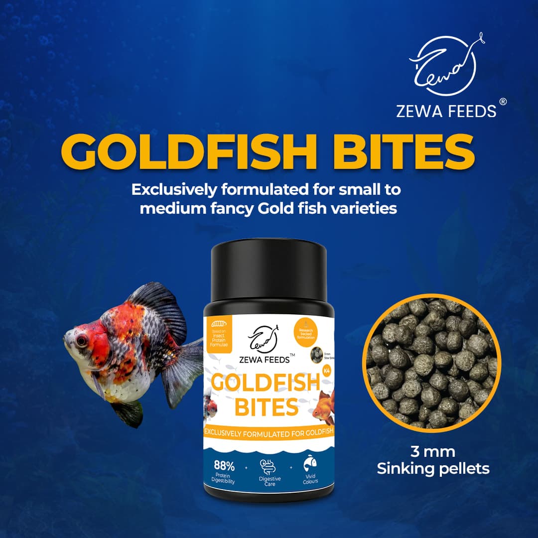 Zewa Feeds Goldfish Bites K4 2