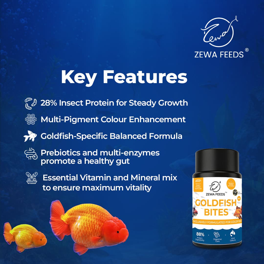 Zewa Feeds Goldfish Bites K4 3