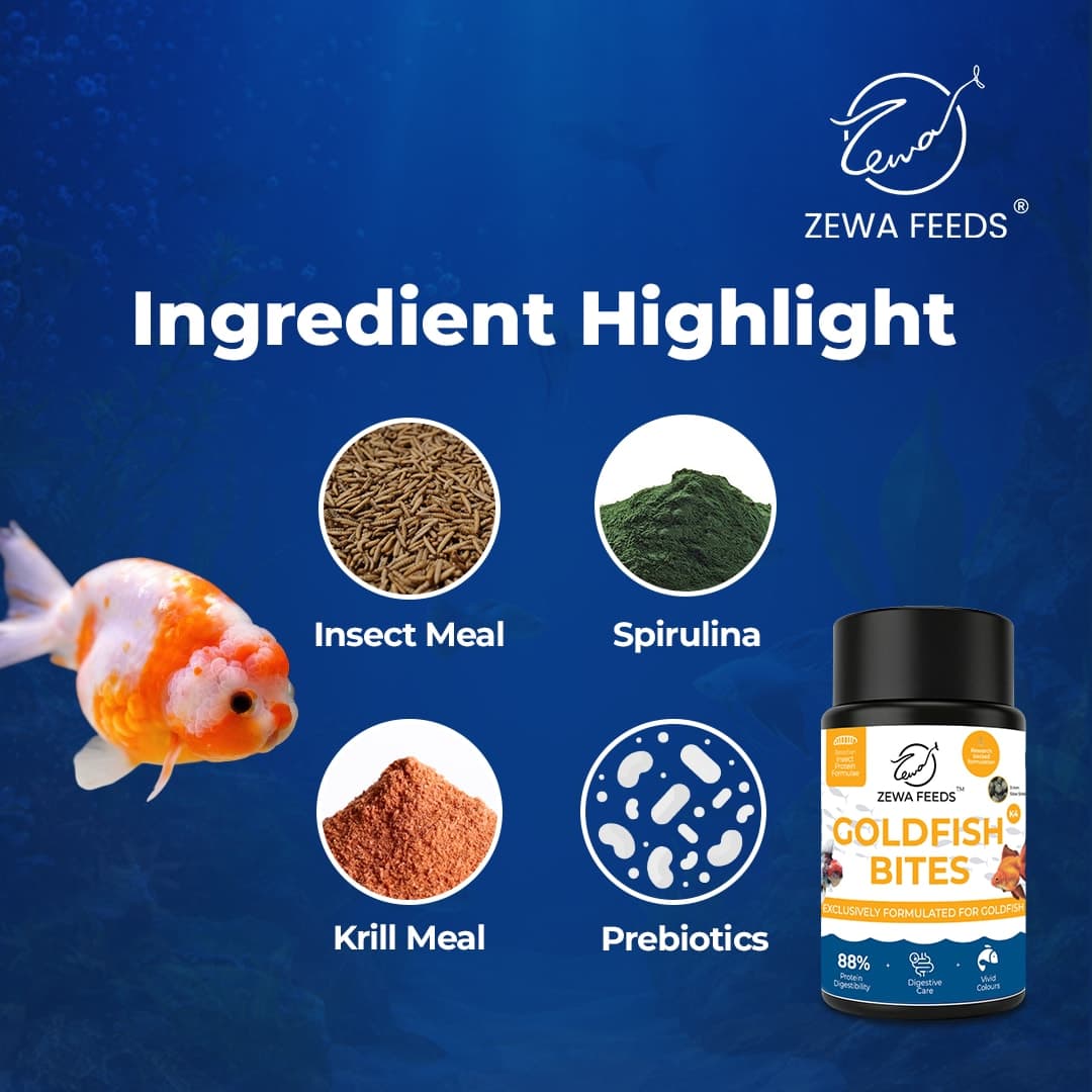 Zewa Feeds Goldfish Bites K4 4