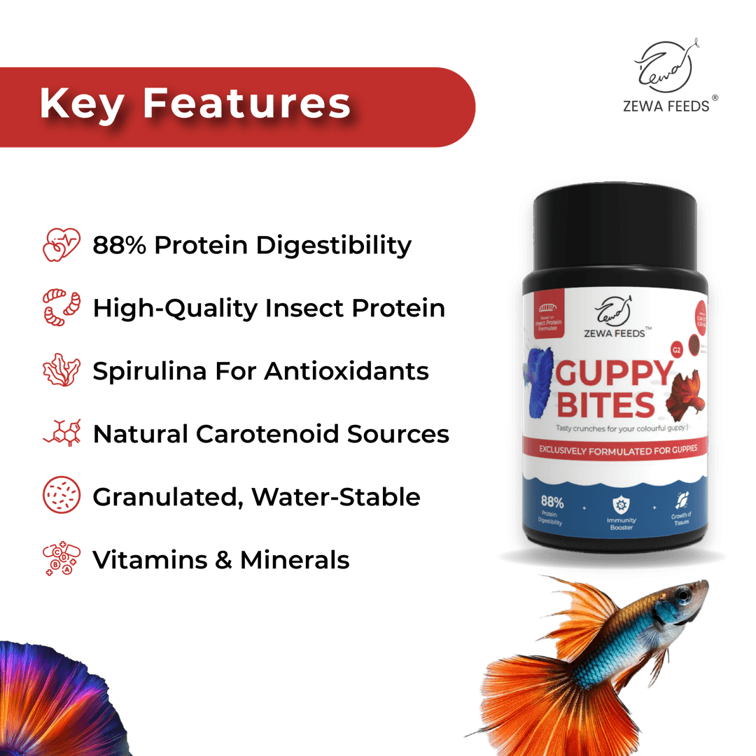 Zewa Feeds Guppy Bites G2 2