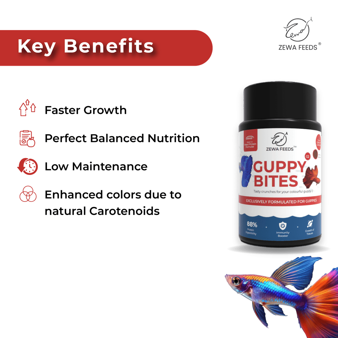 Zewa Feeds Guppy Bites G2 3