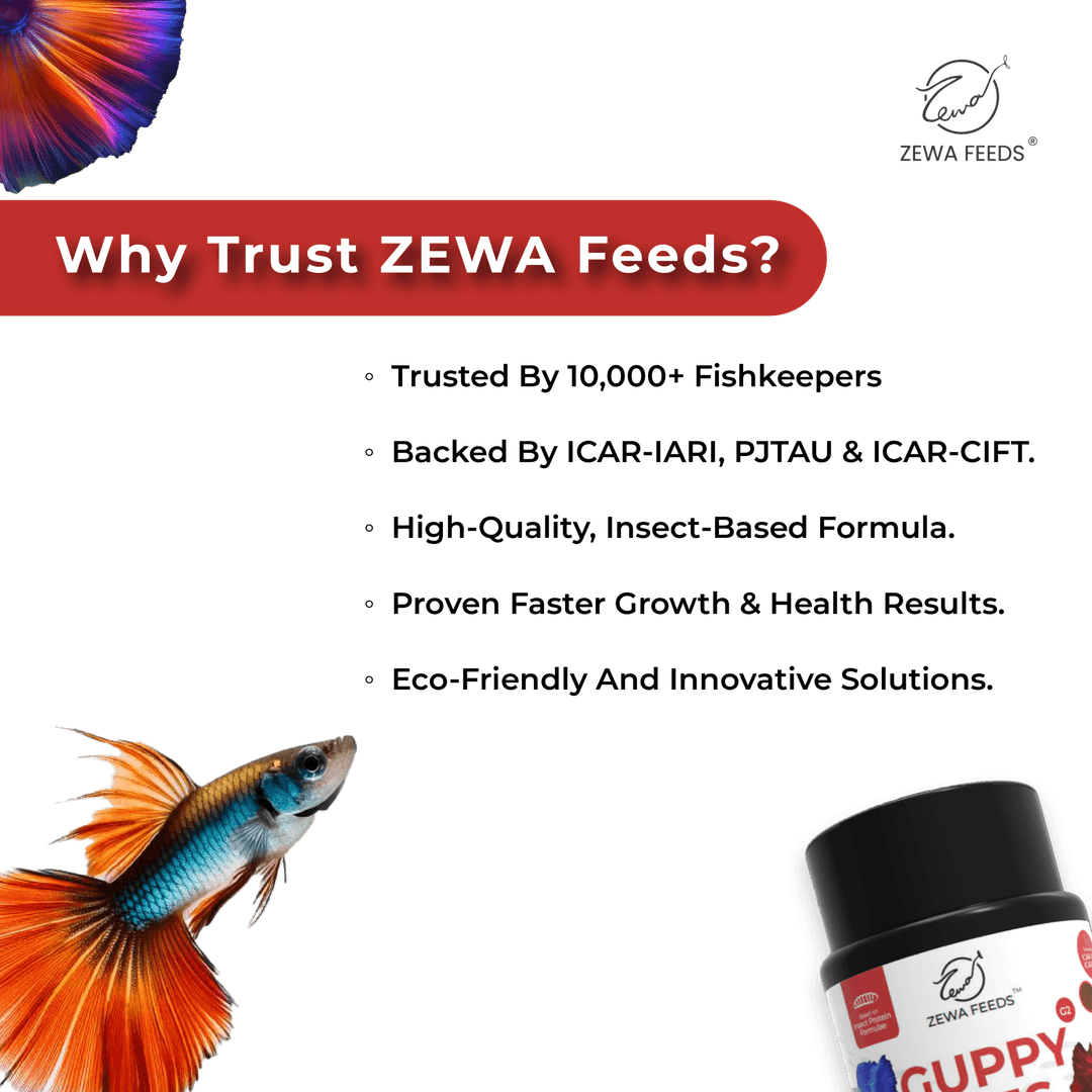 Zewa Feeds Guppy Bites G2 4