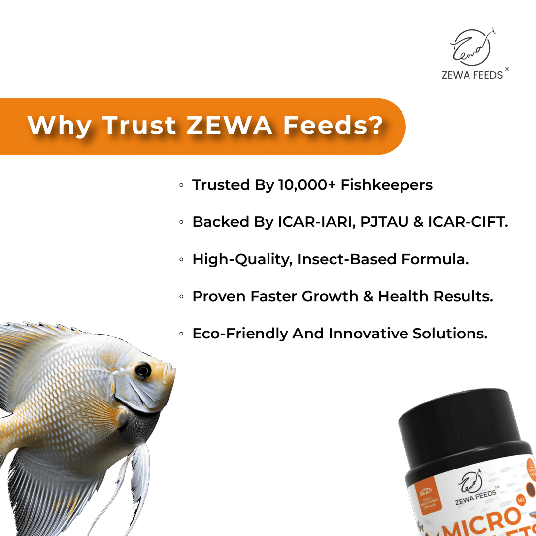 Zewa Feeds Micro Pellets M3 4