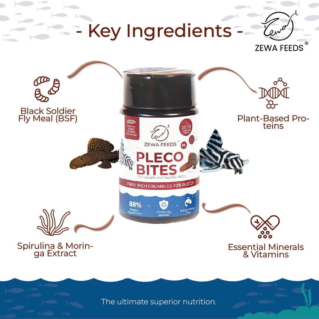 Zewa Feeds Pleco Bites P5 2