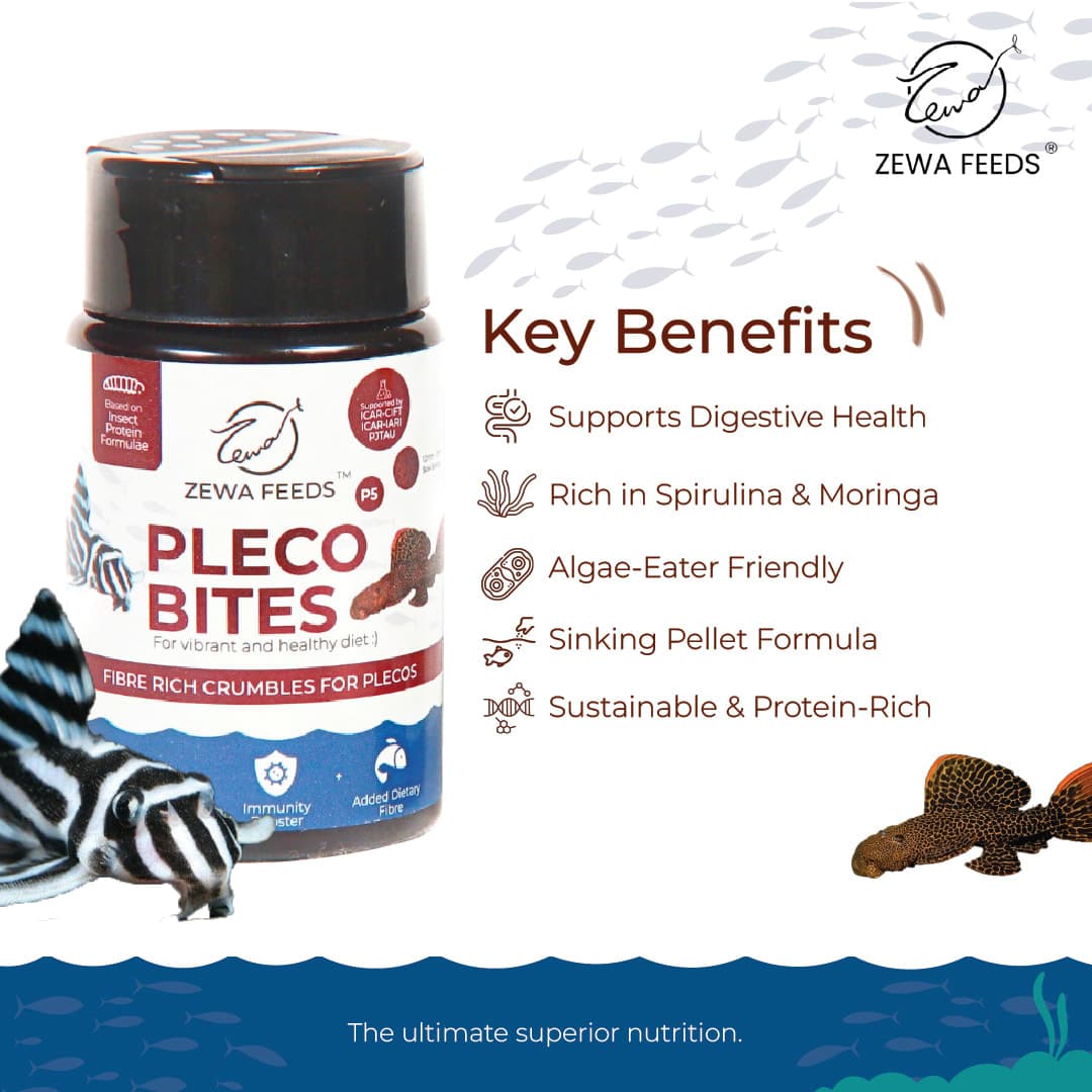 Zewa Feeds Pleco Bites P5 3