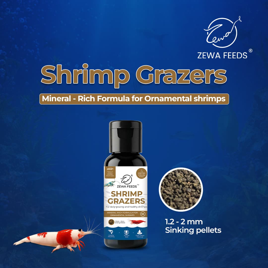 Zewa Feeds Shrimp Grazers S5 2