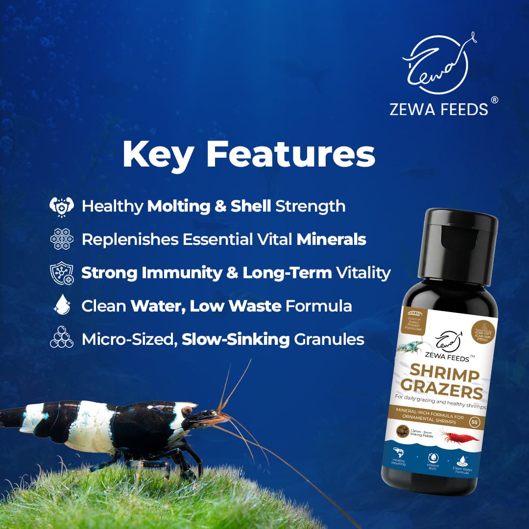 Zewa Feeds Shrimp Grazers S5 4