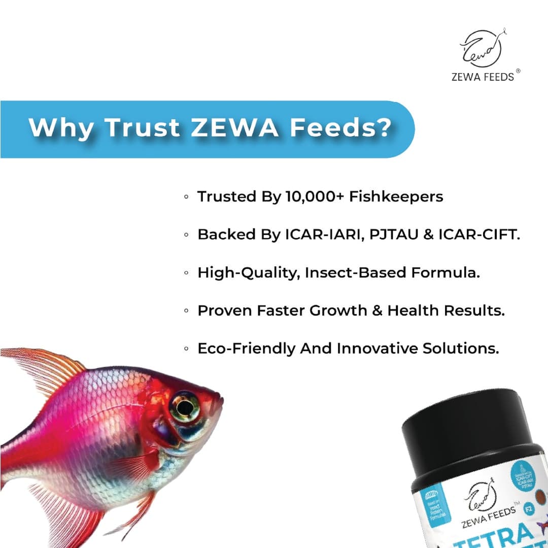 Zewa Feeds Tetra Pellets F2 2