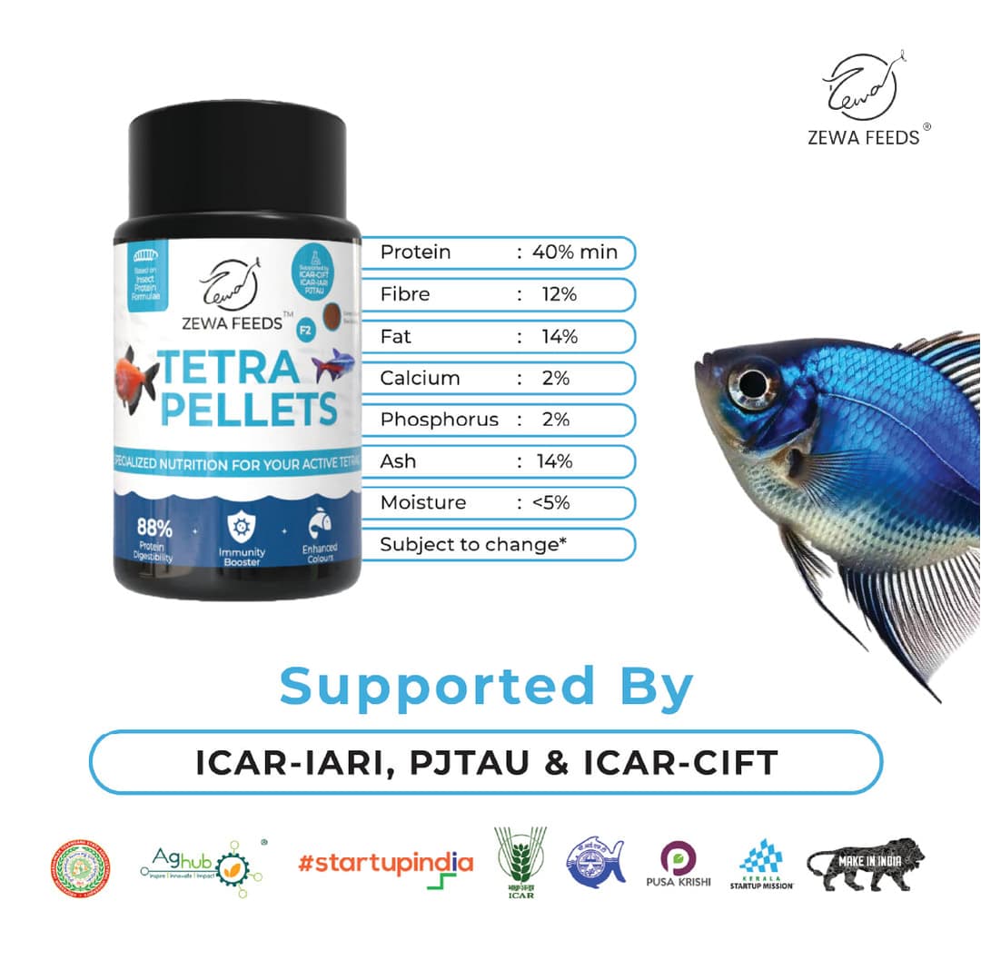 Zewa Feeds Tetra Pellets F2 3