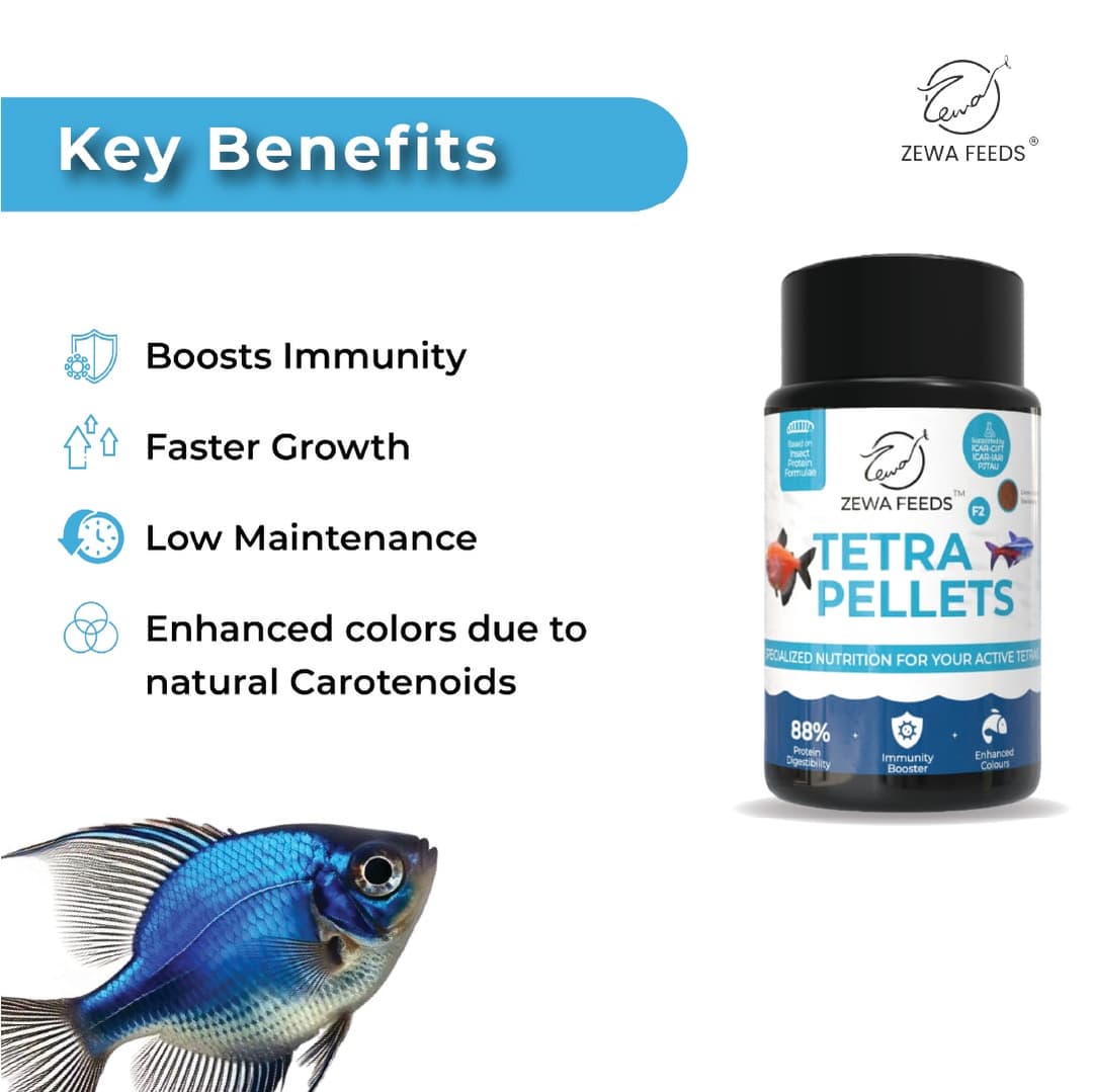Zewa Feeds Tetra Pellets F2 4