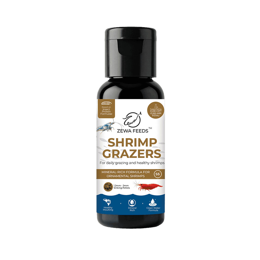 Zewa Feeds Shrimp Grazers S5 1