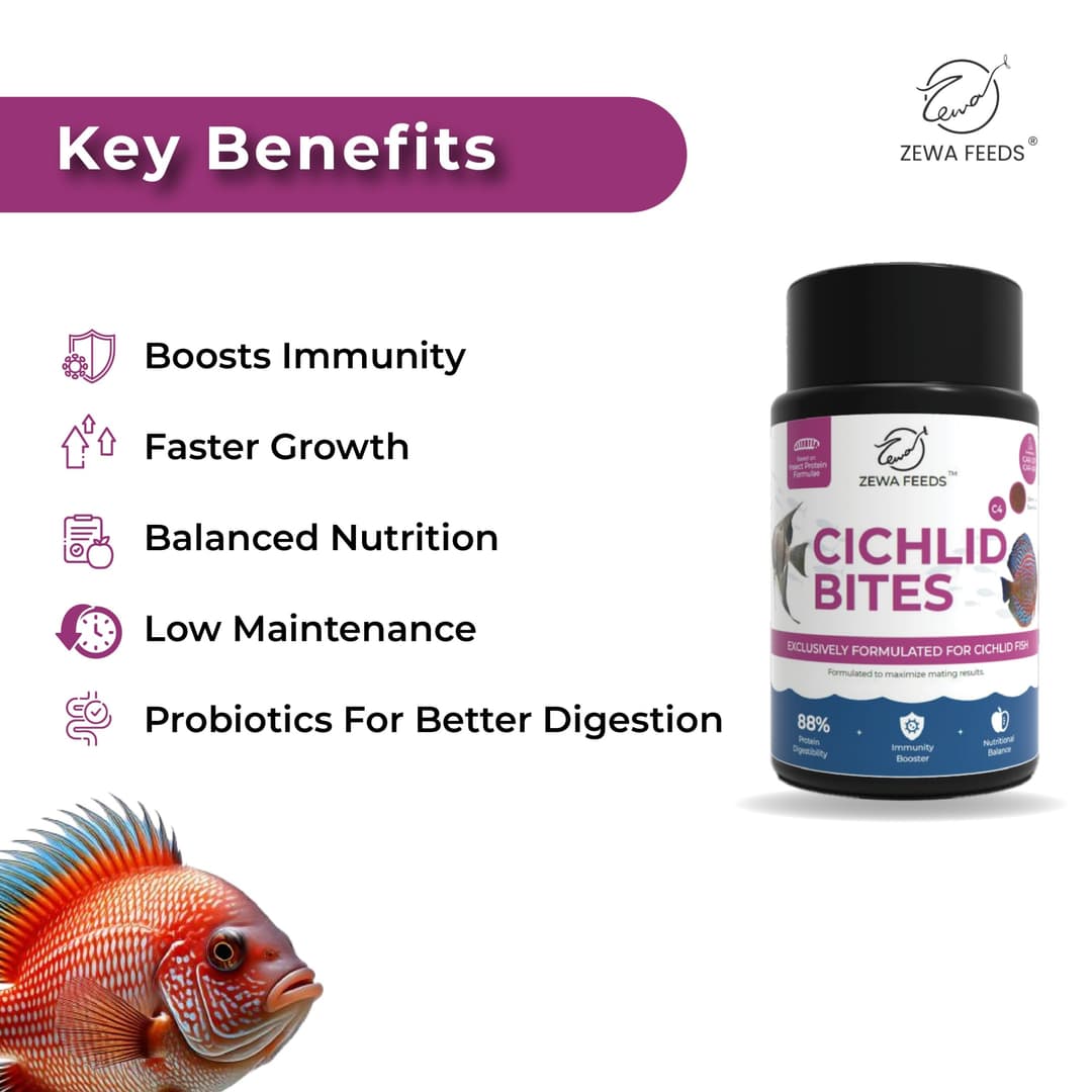 Zewa Feeds Cichlid Bites C4 3