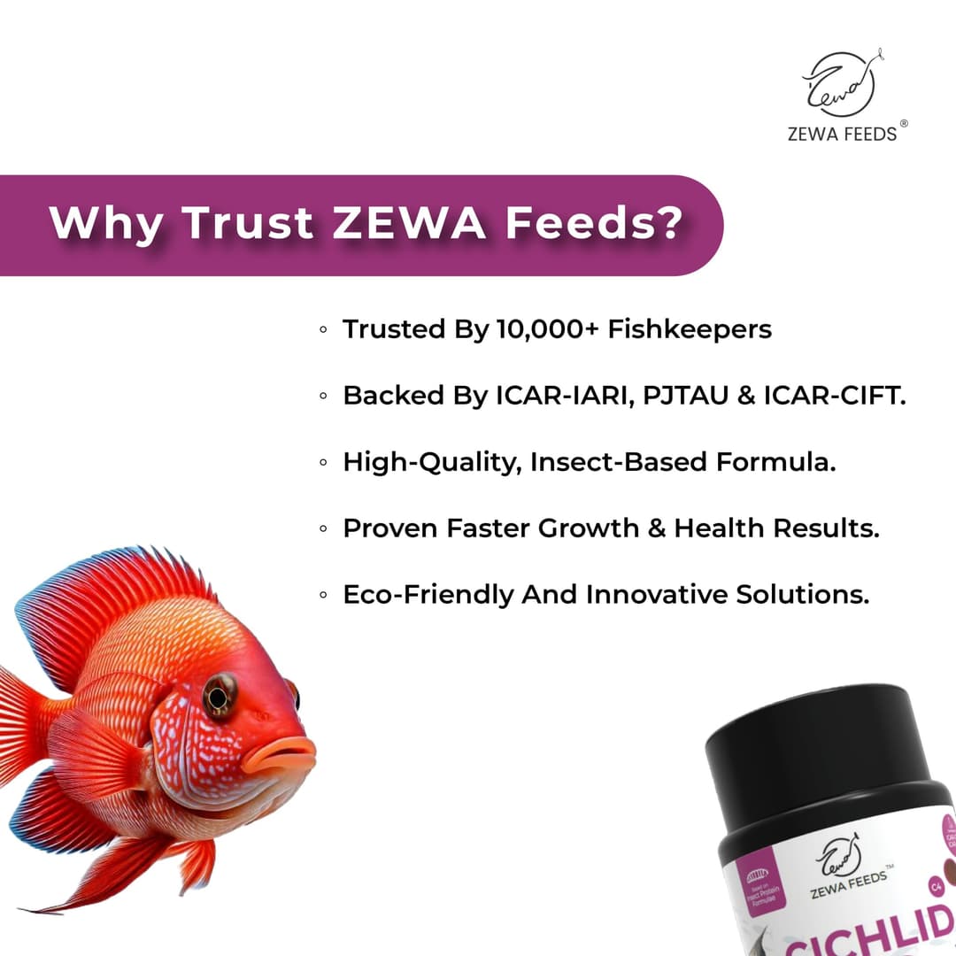 Zewa Feeds Cichlid Bites C4 4
